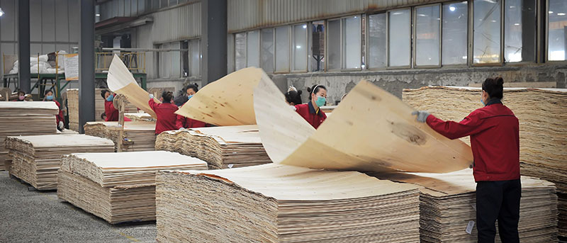 人造板力學(xué)性能的高精度測(cè)試 人造板力學(xué)性能的高精度測(cè)試